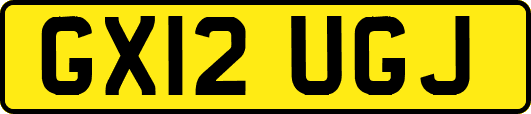 GX12UGJ