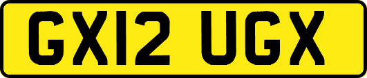 GX12UGX