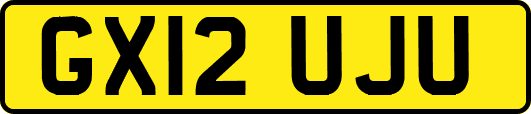GX12UJU