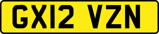 GX12VZN
