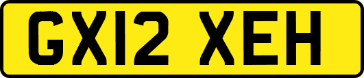 GX12XEH