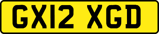 GX12XGD