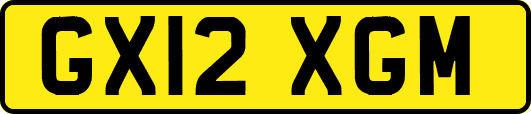 GX12XGM