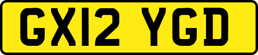 GX12YGD