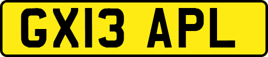 GX13APL