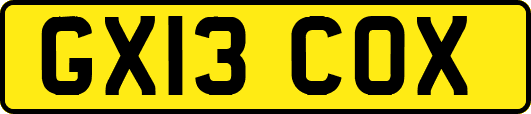 GX13COX
