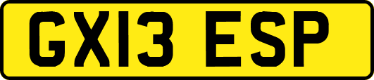 GX13ESP