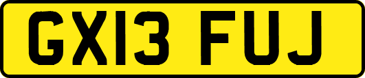 GX13FUJ