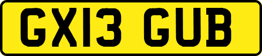 GX13GUB