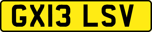 GX13LSV