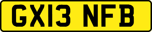 GX13NFB