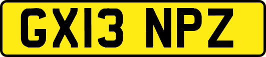 GX13NPZ