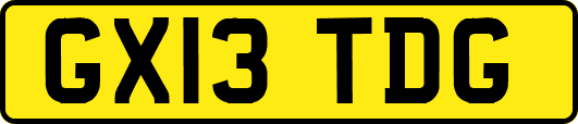 GX13TDG