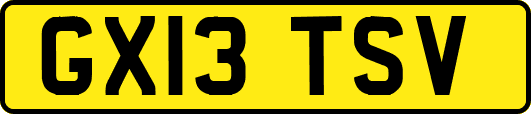 GX13TSV