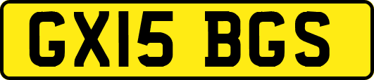 GX15BGS