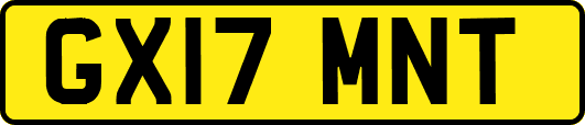 GX17MNT