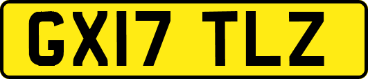GX17TLZ