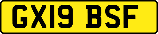 GX19BSF