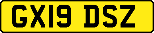 GX19DSZ