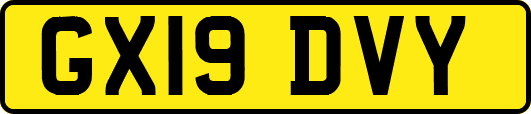 GX19DVY