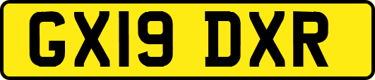 GX19DXR