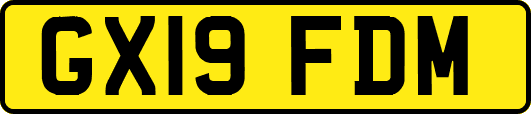 GX19FDM