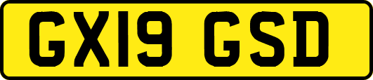 GX19GSD