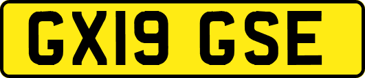 GX19GSE