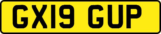 GX19GUP