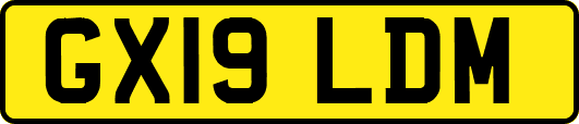 GX19LDM