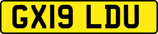 GX19LDU