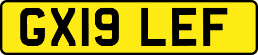 GX19LEF