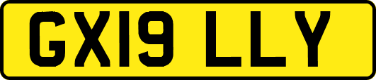 GX19LLY