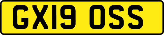 GX19OSS