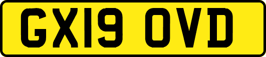 GX19OVD