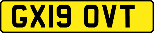 GX19OVT