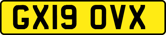 GX19OVX
