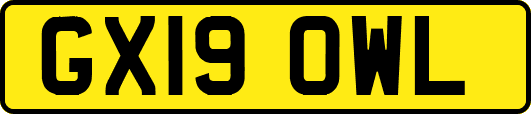 GX19OWL
