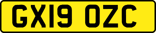 GX19OZC