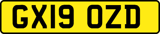 GX19OZD