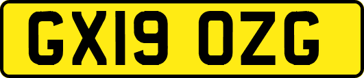 GX19OZG