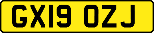 GX19OZJ