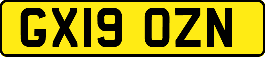 GX19OZN