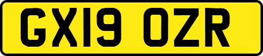 GX19OZR
