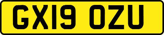 GX19OZU