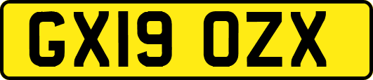GX19OZX