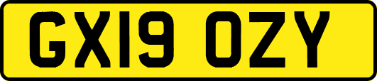 GX19OZY