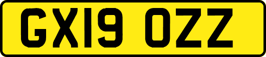 GX19OZZ