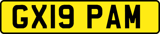 GX19PAM