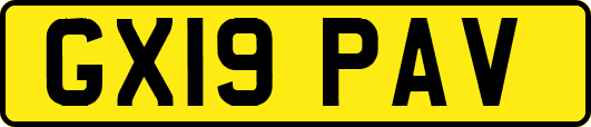 GX19PAV